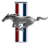 2010 Mustang Pony