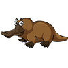 Adam Platypus1