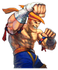 Adon