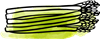 Asparagus