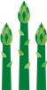 Asparagus