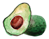 Avocado