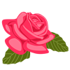 Bachelorette Flower