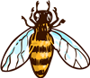 Bee