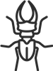 Beetle Outline