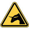 Beware of Bull