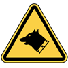 Beware of Dog