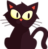 Black Cat