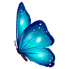 Blue Butterfly