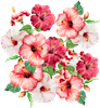 bouquet.png