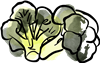 Brocolli