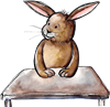 Bunny