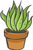 Cacti 2