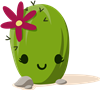 Cacti 4