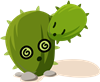 Cacti 6