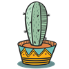 Cactus 1