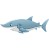 Cartoon Shark