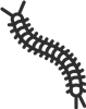 Centipede Outline