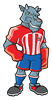 ChivaFighter
