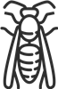 Cockroach Outline