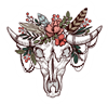 decorative skull_Artboard 1.png