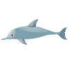 Dolphin 3