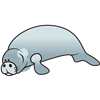 Dopey Manatee