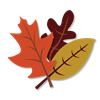 Fall Leaves