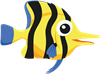 Fish 5
