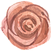 Flower 10