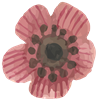 Flower 11