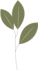 Flower 5