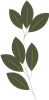 Flower 7
