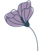 Flower 7