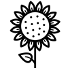 Flower_Sunflower001.png