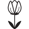 Flower_Tulip001.png