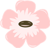 Flowers 6