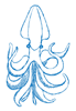 giant squid