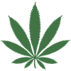 Green Leaf.pdf