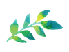 Green Watercolour Leaf