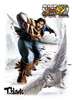 Hawk Poster