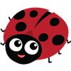 Ladybug