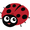 Ladybug