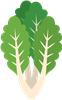 Lettuce Leafs