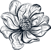Line Flowers 10