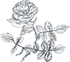 Line Flowers 12