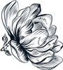 Line Flowers 2