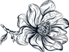 Line Flowers 4