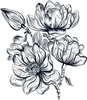 Line Flowers 5