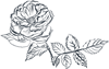 Line Flowers 6